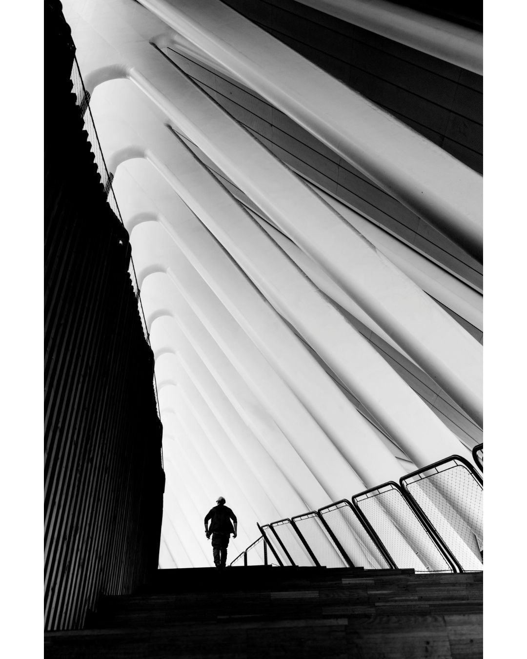 Ascending Silence