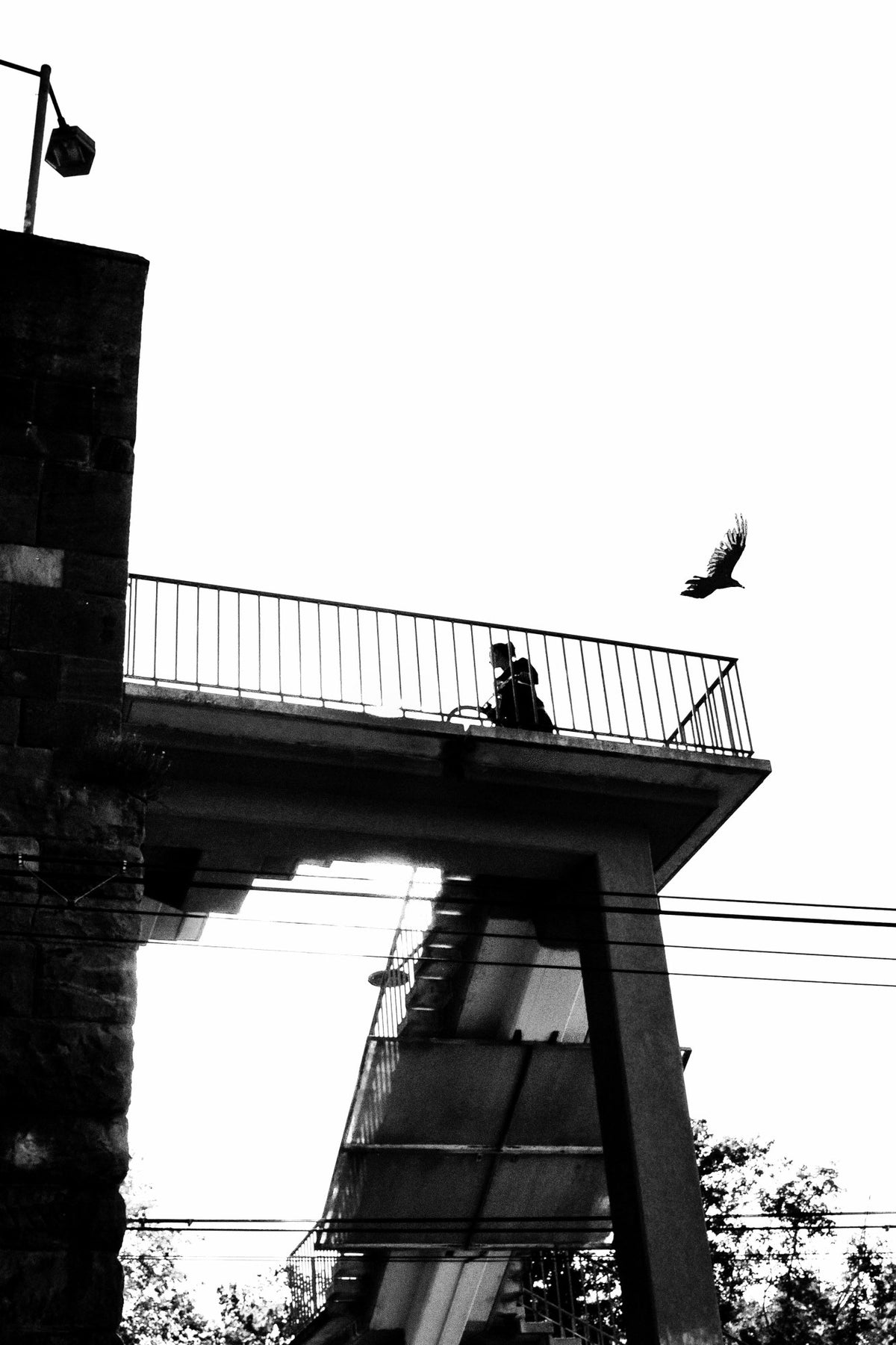 A Fleeting Encounter