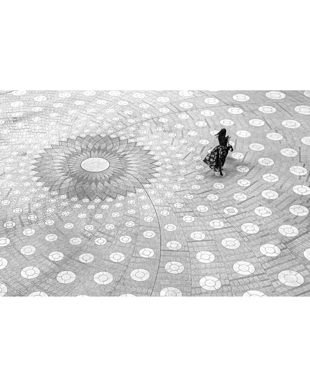 Circles of life