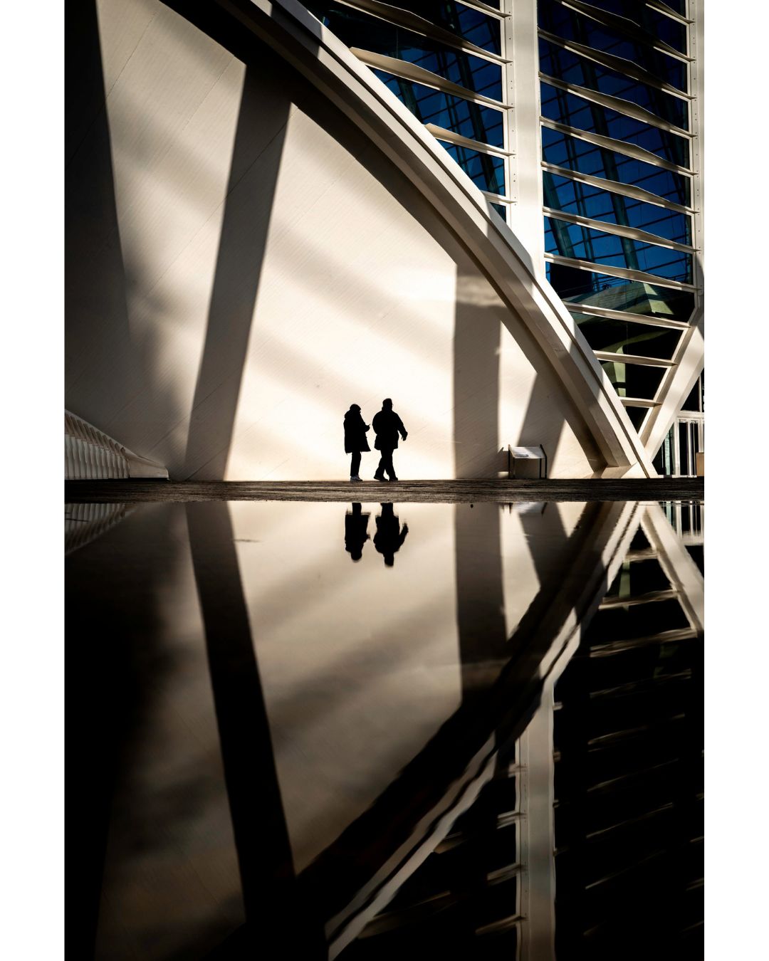 Silhouetted Passage